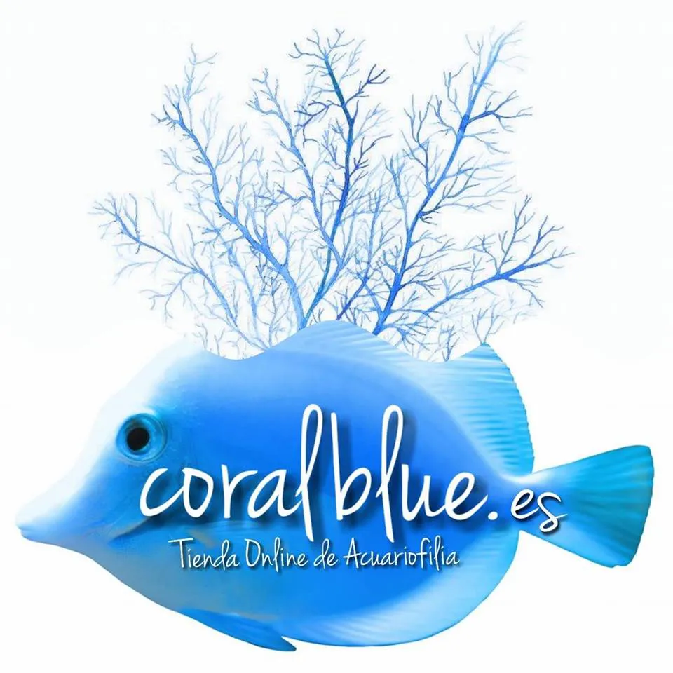 Código Descuento Coralblue 